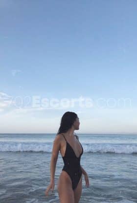 צפון והסביבה לוסיה